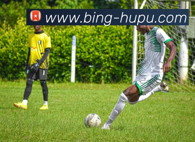 App Interface Preview